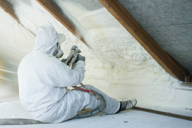 Best Fireproof Insulation  in Terre Du Lac, MO